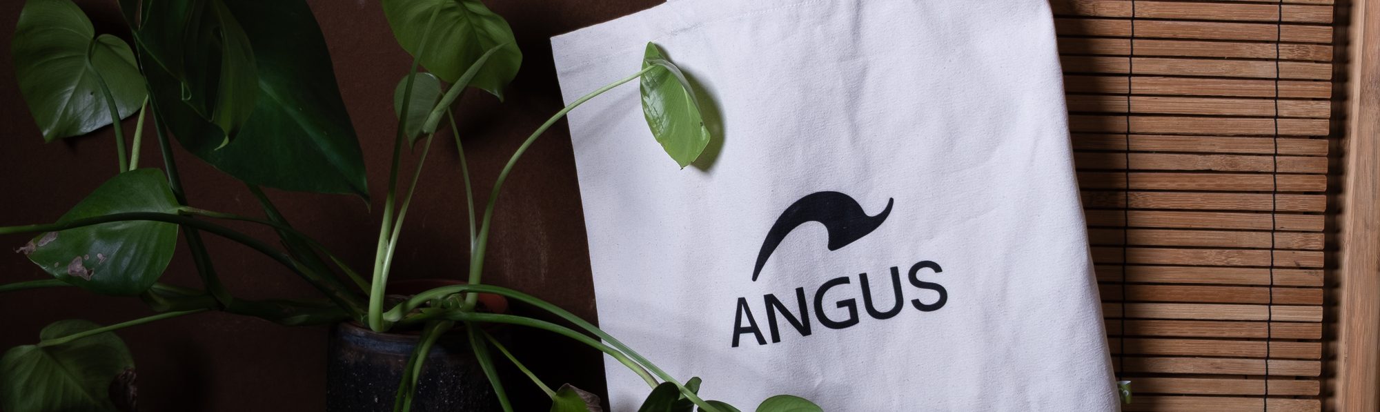 Angus-totebag hengt på en stige ved siden av en potteplante